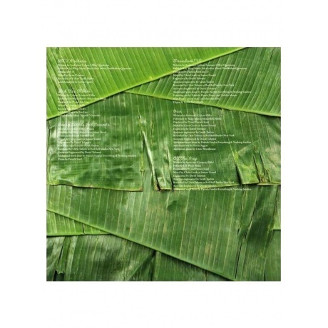 !!! - As If (0801061026011) виниловая пластинка - фото 4