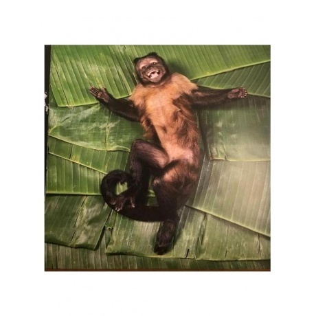 !!! - As If (0801061026011) виниловая пластинка - фото 5