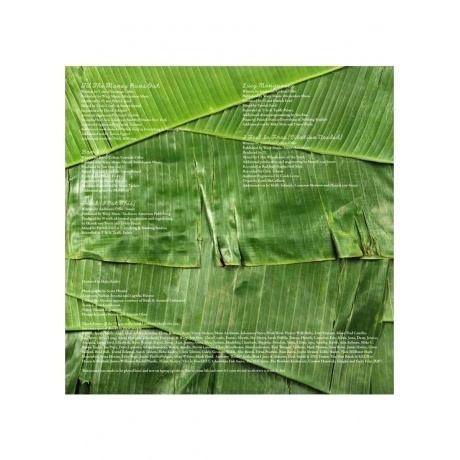 !!! - As If (0801061026011) виниловая пластинка - фото 6