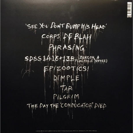 Scott Walker - Bish Bosch (0652637322019) виниловая пластинка - фото 2