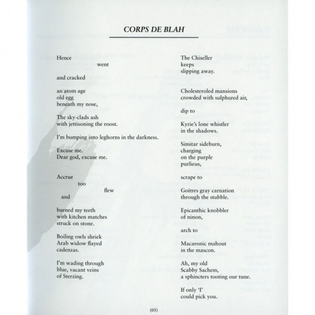 Scott Walker - Bish Bosch (0652637322019) виниловая пластинка - фото 11