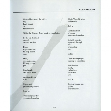 Scott Walker - Bish Bosch (0652637322019) виниловая пластинка - фото 13