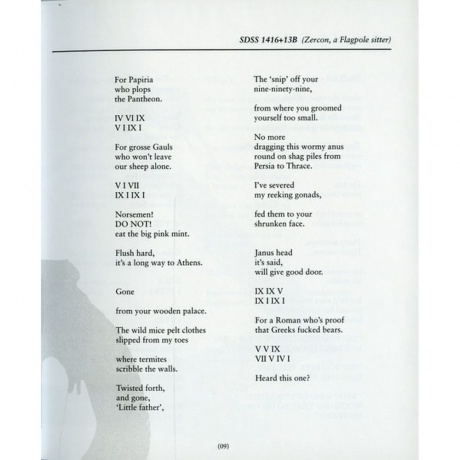 Scott Walker - Bish Bosch (0652637322019) виниловая пластинка - фото 17