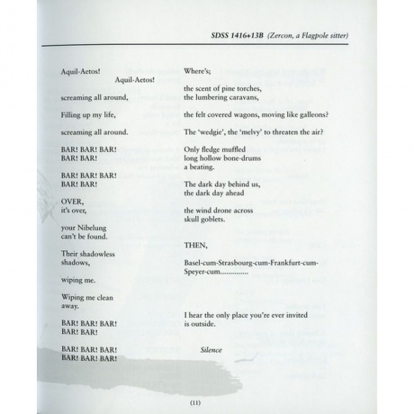 Scott Walker - Bish Bosch (0652637322019) виниловая пластинка - фото 19