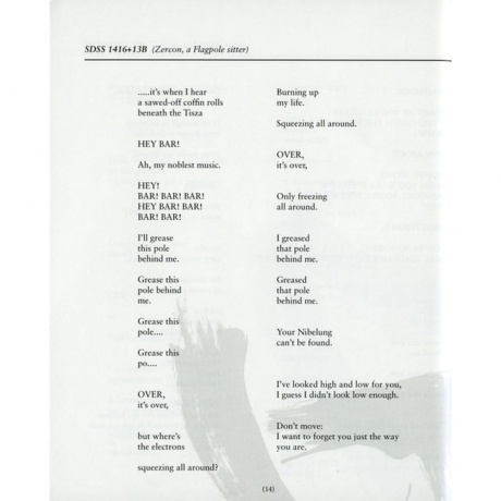 Scott Walker - Bish Bosch (0652637322019) виниловая пластинка - фото 22