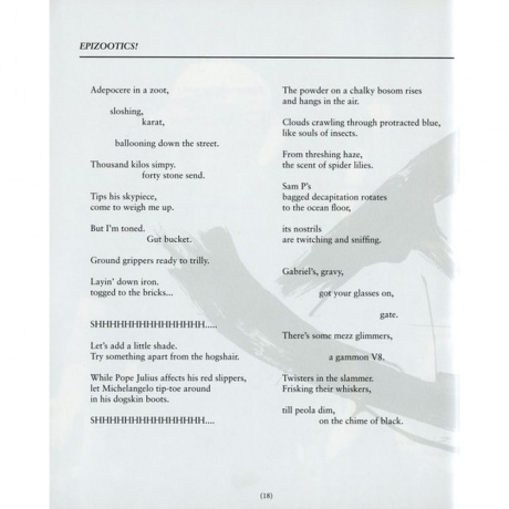 Scott Walker - Bish Bosch (0652637322019) виниловая пластинка - фото 26