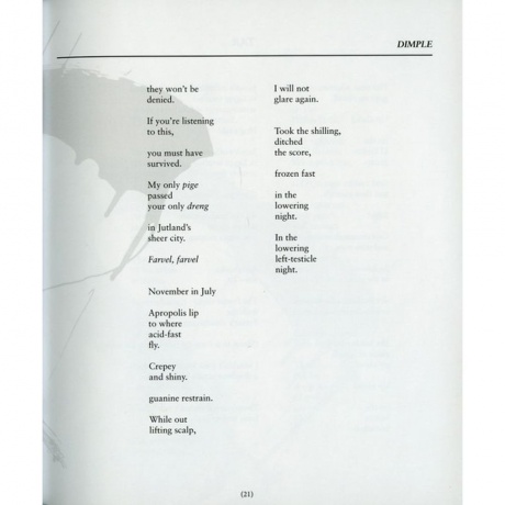 Scott Walker - Bish Bosch (0652637322019) виниловая пластинка - фото 29