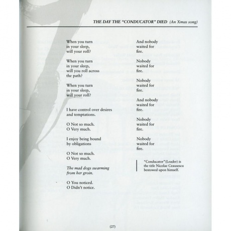 Scott Walker - Bish Bosch (0652637322019) виниловая пластинка - фото 35