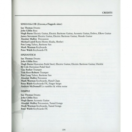 Scott Walker - Bish Bosch (0652637322019) виниловая пластинка - фото 37