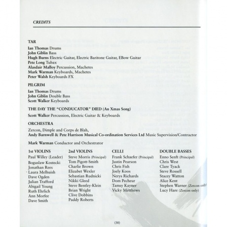 Scott Walker - Bish Bosch (0652637322019) виниловая пластинка - фото 38