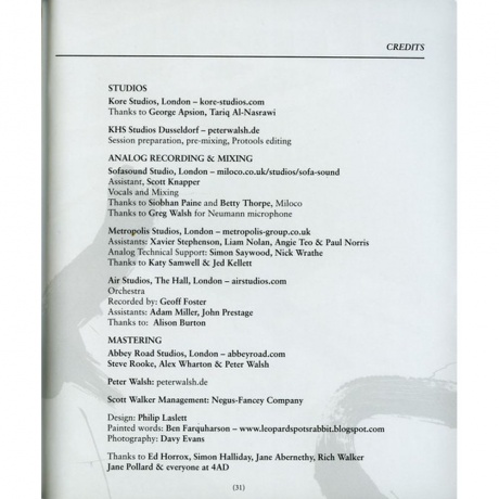 Scott Walker - Bish Bosch (0652637322019) виниловая пластинка - фото 39