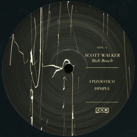 Scott Walker - Bish Bosch (0652637322019) виниловая пластинка - фото 5