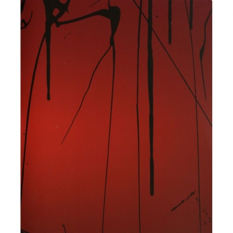 Scott Walker - Bish Bosch (0652637322019) виниловая пластинка - фото 41