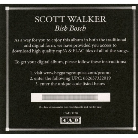 Scott Walker - Bish Bosch (0652637322019) виниловая пластинка - фото 42