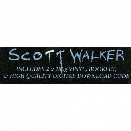 Scott Walker - Bish Bosch (0652637322019) виниловая пластинка - фото 43