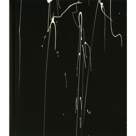 Scott Walker - Bish Bosch (0652637322019) виниловая пластинка - фото 7