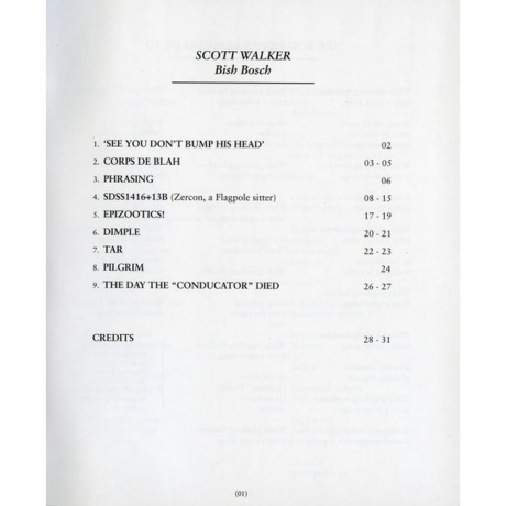 Scott Walker - Bish Bosch (0652637322019) виниловая пластинка - фото 9