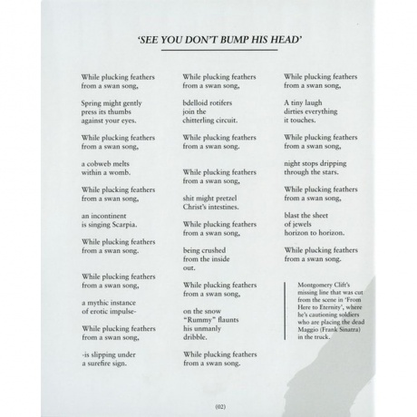 Scott Walker - Bish Bosch (0652637322019) виниловая пластинка - фото 10