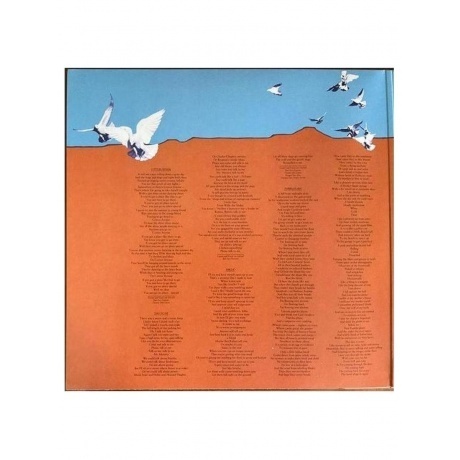 Joni Mitchell - Don Juan's Reckless Daughter (0603497826698) виниловая пластинка - фото 2