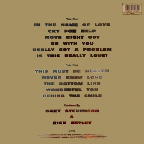 Rick Astley - Free (4099964041842) виниловая пластинка - фото 2