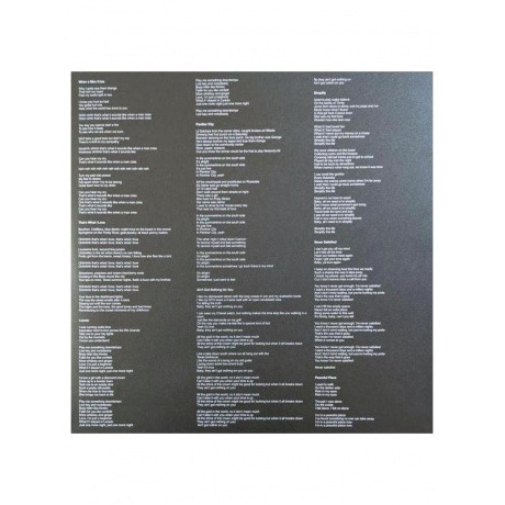 Leon Bridges - Leon (0198028293112) виниловая пластинка - фото 10