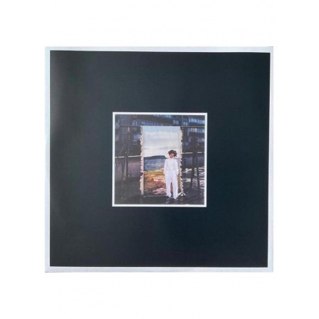 Martina Topley-Bird - Quixotic (0888072601956) виниловая пластинка - фото 11