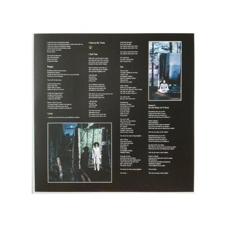 Martina Topley-Bird - Quixotic (0888072601956) виниловая пластинка - фото 3