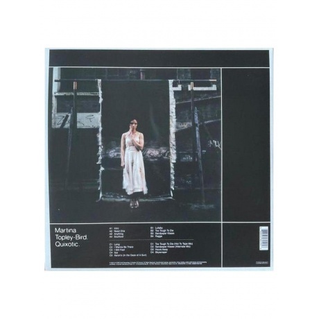 Martina Topley-Bird - Quixotic (0888072601956) виниловая пластинка - фото 4