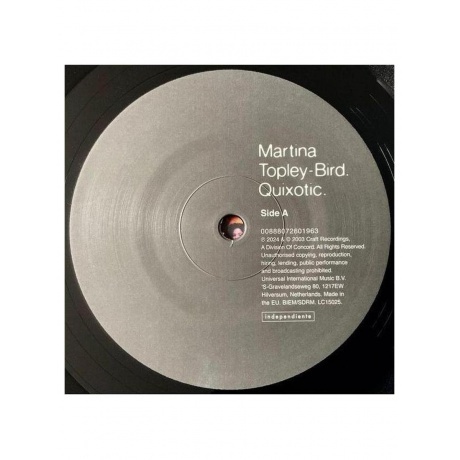 Martina Topley-Bird - Quixotic (0888072601956) виниловая пластинка - фото 5