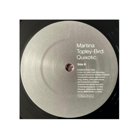 Martina Topley-Bird - Quixotic (0888072601956) виниловая пластинка - фото 6
