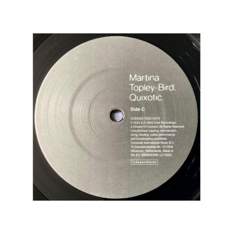 Martina Topley-Bird - Quixotic (0888072601956) виниловая пластинка - фото 7