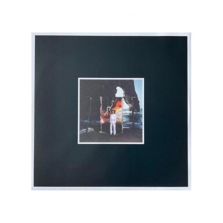 Martina Topley-Bird - Quixotic (0888072601956) виниловая пластинка - фото 9