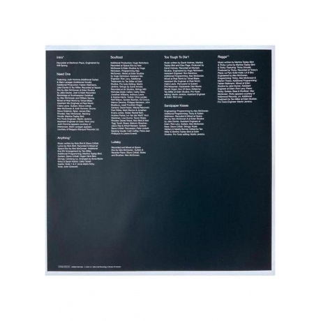 Martina Topley-Bird - Quixotic (0888072601956) виниловая пластинка - фото 10