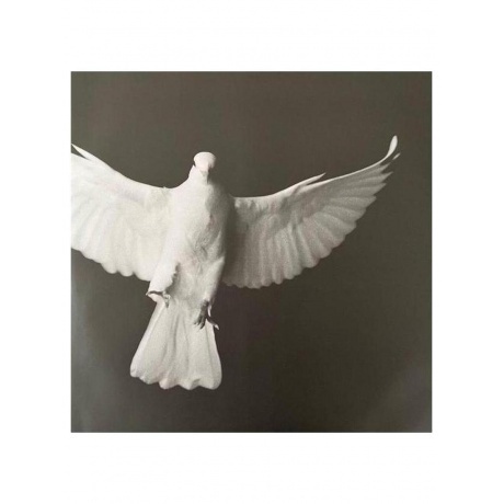 Melody Gardot - The Essential (coloured) (0602465581010) виниловая пластинка - фото 3