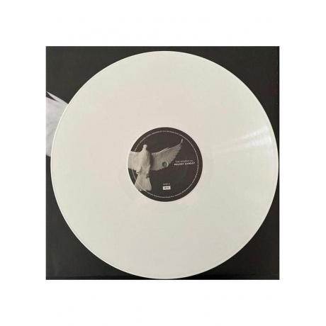 Melody Gardot - The Essential (coloured) (0602465581010) виниловая пластинка - фото 7