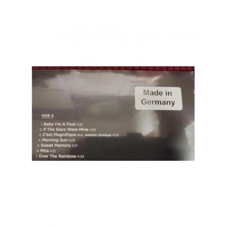 Melody Gardot - The Essential (0602465581058) виниловая пластинка - фото 4