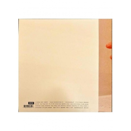 Max Richter - In A Landscape (0602458823523) виниловая пластинка - фото 2