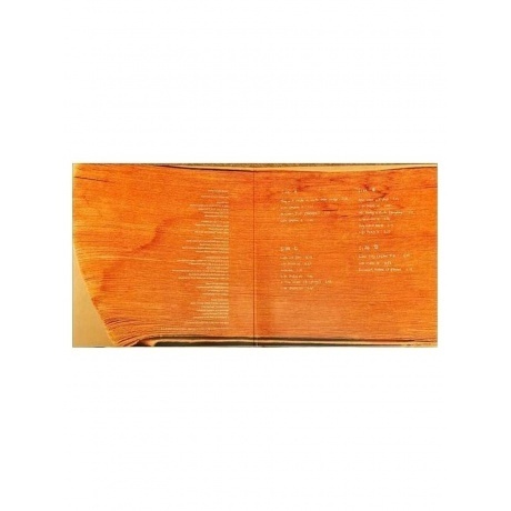 Max Richter - In A Landscape (0602458823523) виниловая пластинка - фото 3