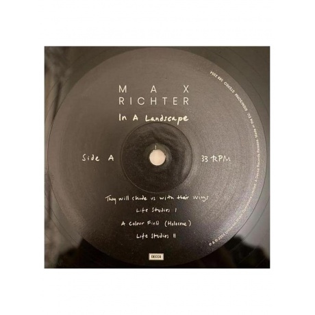 Max Richter - In A Landscape (0602458823523) виниловая пластинка - фото 4