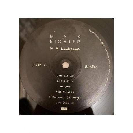 Max Richter - In A Landscape (0602458823523) виниловая пластинка - фото 6