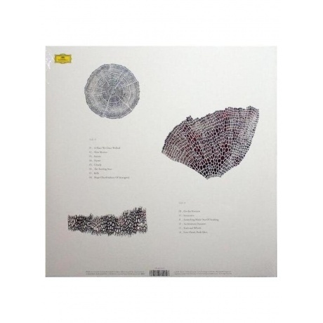 Roger Eno - The Turning Year (0028948620258) виниловая пластинка - фото 3