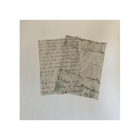 Roger Eno - The Turning Year (0028948620258) виниловая пластинка - фото 4