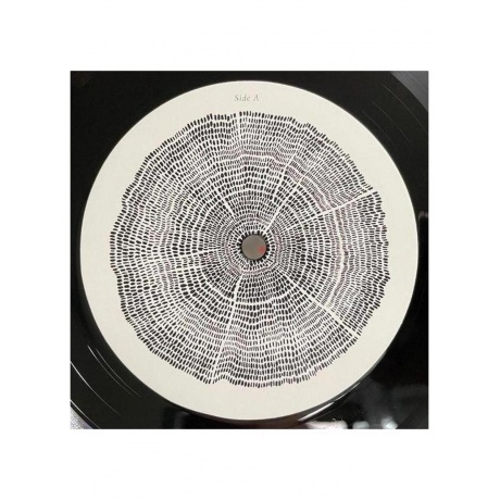 Roger Eno - The Turning Year (0028948620258) виниловая пластинка - фото 8