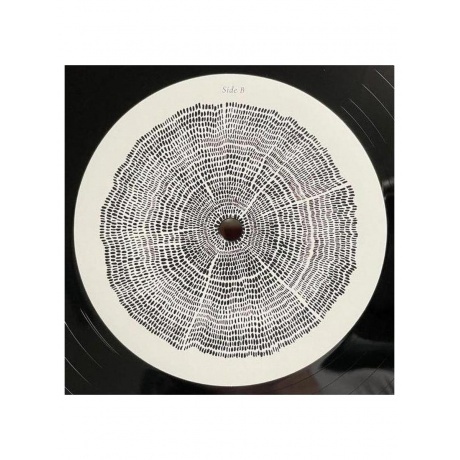 Roger Eno - The Turning Year (0028948620258) виниловая пластинка - фото 9