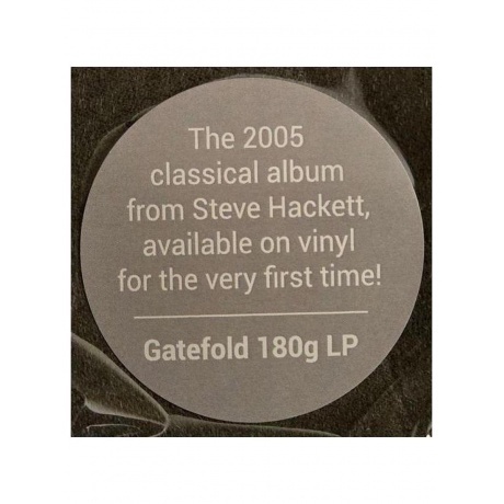 Hackett Steve - Metamorpheus (0198028338110) виниловая пластинка - фото 8