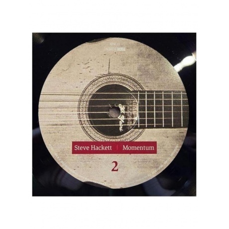 Steve Hackett - Momentum (0198028029018) виниловая пластинка - фото 7