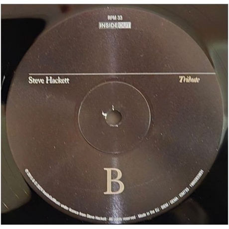 Hackett Steve - Tribute To Bach (0198028338318) виниловая пластинка - фото 5
