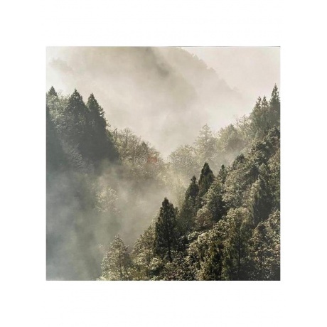 Devin Townsend - Powernerd (0198028139519) виниловая пластинка - фото 3