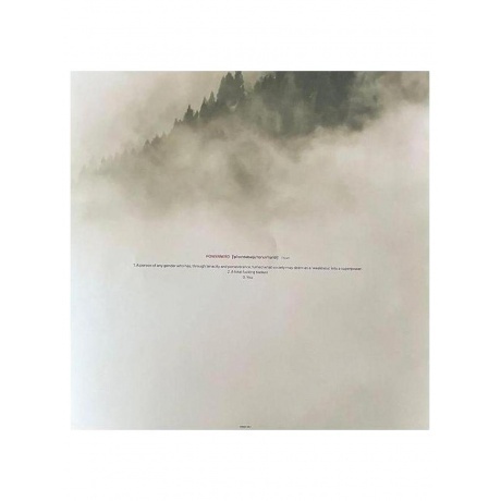 Devin Townsend - Powernerd (0198028139519) виниловая пластинка - фото 4