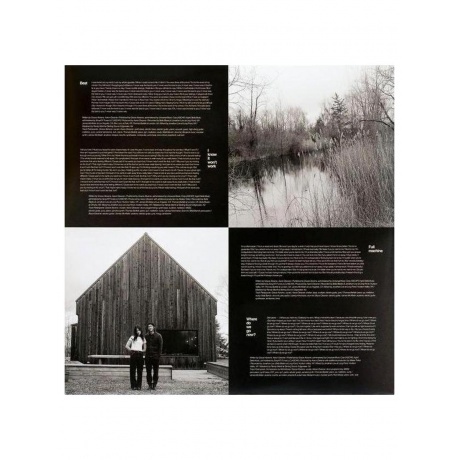 Gracie Abrams - Good Riddance (0602448974051) виниловая пластинка - фото 9